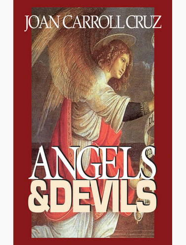 Angels and Devils by Joan Carroll Cruz book not booklet