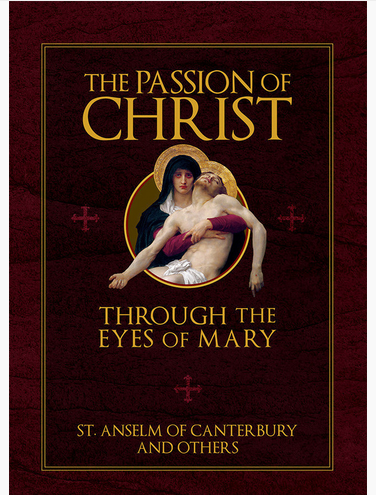 The Passion of Christ Through the Eyes of Mary book not booklet