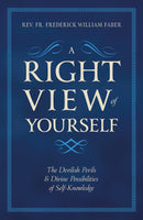 A Right View of Yourself: The Devilish Perils and Divine Possibilities of Self-Knowledge book not booklet