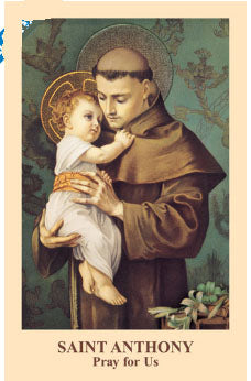 St Anthony of Padua prayer card 12/pkg IT137