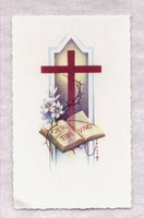 Jesu Tibi Vivo Jesus is Life holy card 100/pkg IT200