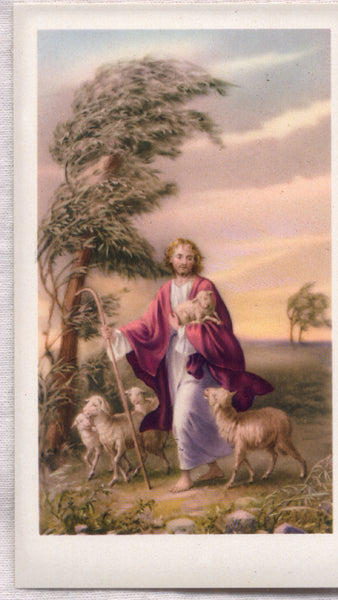 Jesus The Good Shepherd holy card 5/pkg IT209