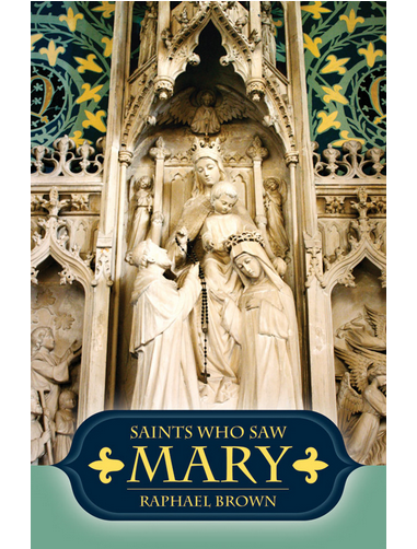 Saints Who Saw Mary book not booklet