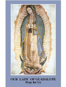 Our Lady of Guadalupe conversions prayer card 12/pkg IT146