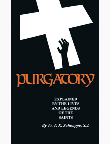 Purgatory Explained by the Lives of the Saints book not booklet